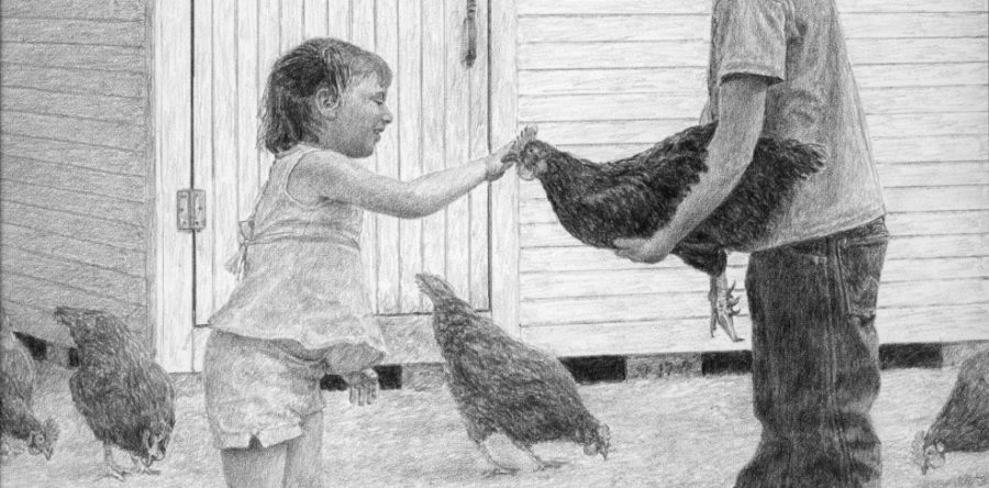 Chicken Yard