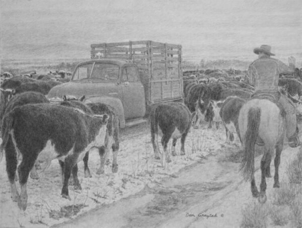 Moving Cattle